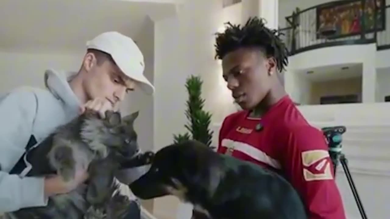 IShowSpeed introduces his new cat to his dog, and chaos breaks out! #megamod #ishowspeed #gaming