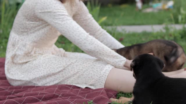 Woman Playing with her Dog