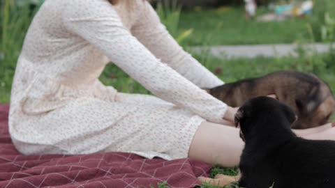 Woman Playing with her Dog