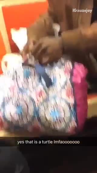 Man puts turtle in colorful purse