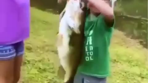 This is a beautiful and charming water-dwelling species