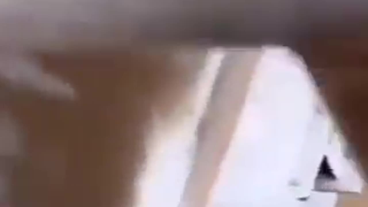 Quality Fish Releases