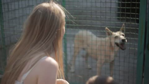 Mom and son search for pet in dog shelter
