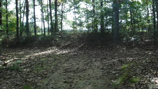 The Sunken Trace Near Mile Post 350