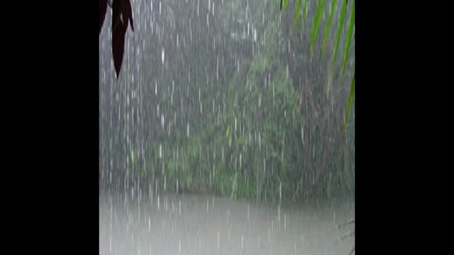 3D rain sound HD to calm and relax nerves