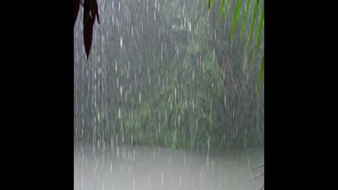 3D rain sound HD to calm and relax nerves