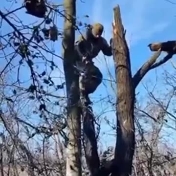 Russian soldier rescues a cat