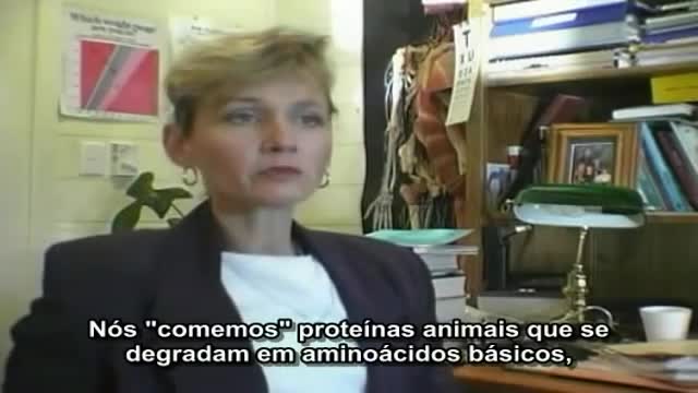 The Thuth of vaccines - VACINAÇÃO - A verdade oculta (Legendado. Pt)
