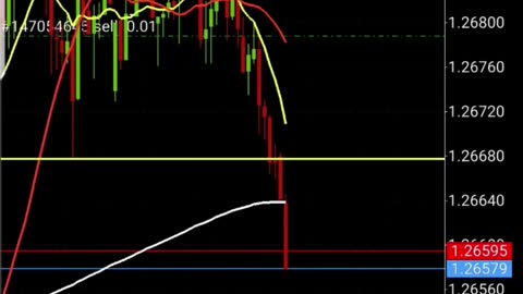 Forex Strategy For Beginners | My Forex Journey 200+PIPS