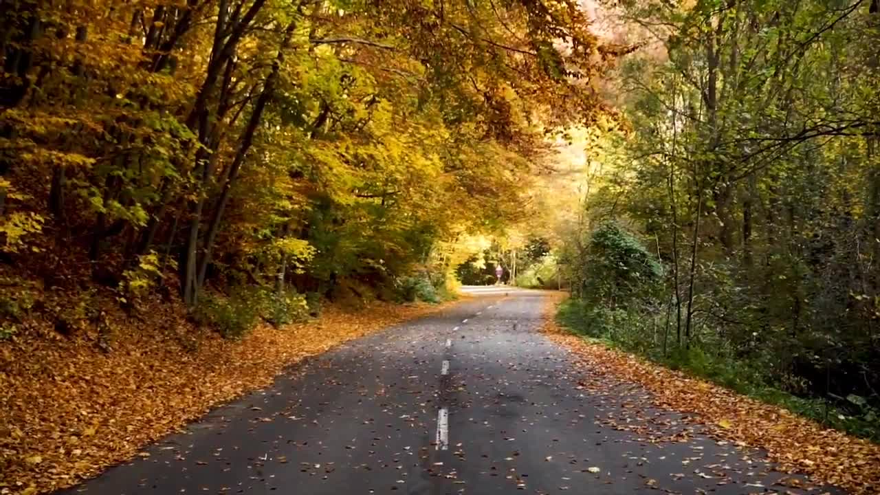 Meditation music video| Nature at its best | Drone video