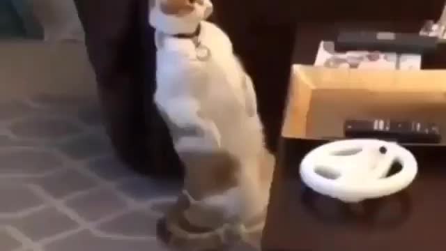 Where did he Go? What Happened?