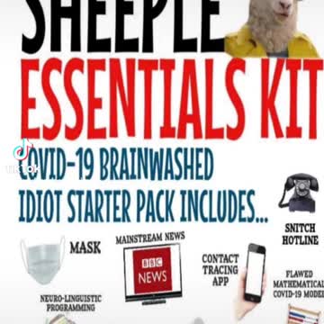 Never To Late To Be A Lion