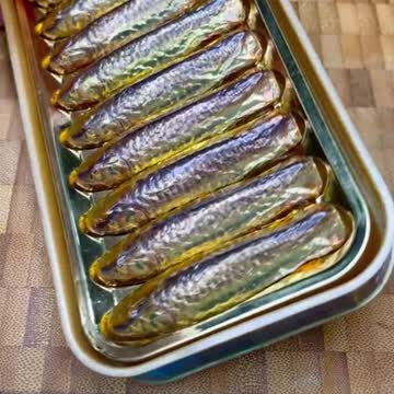 funny|prank|jokes|funny jokes|dad jokes|funny memes|funny video|fun|laughing|funny animal|knock