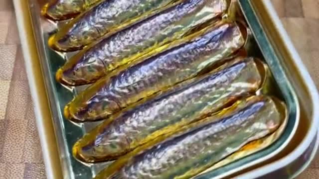 funny|prank|jokes|funny jokes|dad jokes|funny memes|funny video|fun|laughing|funny animal|knock