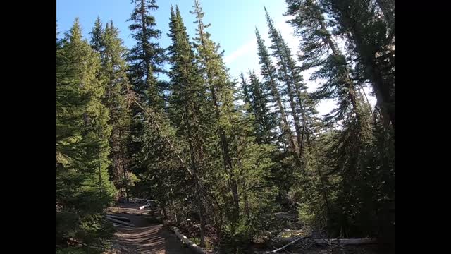 Trail of Highways­ Hike Green Lakes Trail Three Sisters Wilderness Oregon Summer Sq 1.2