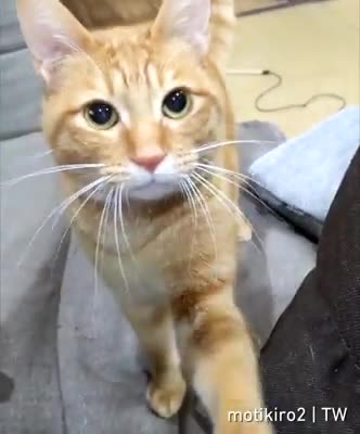 Viral video today shorts 29funny