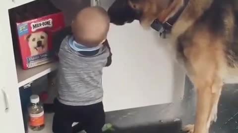 Children and Big Dogs