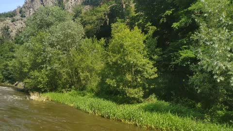 River after the rain in the summer