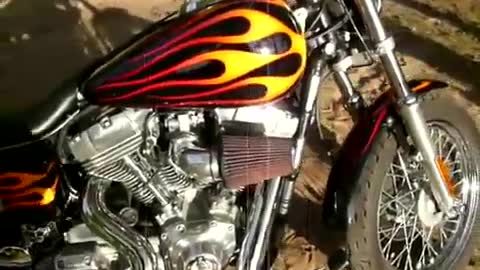 Harley Davidson Dyna Custom #3