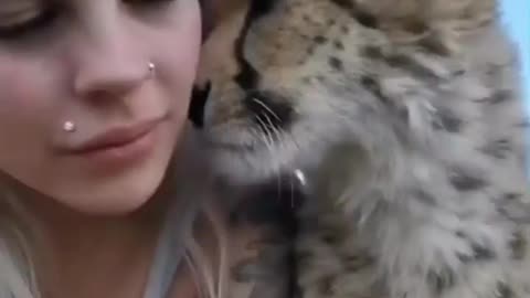 Girl playing with Leapord