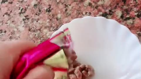 funny|prank|jokes|funny jokes|dad jokes|funny memes|funny video|fun|laughing|funny animal|knock