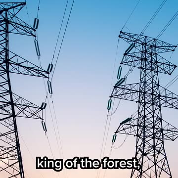 Bill Nye on how to address climate change