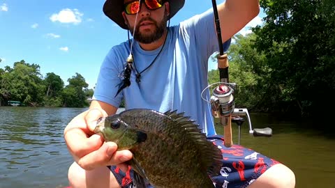 River Fishing 🎣🎣 Blue Gills