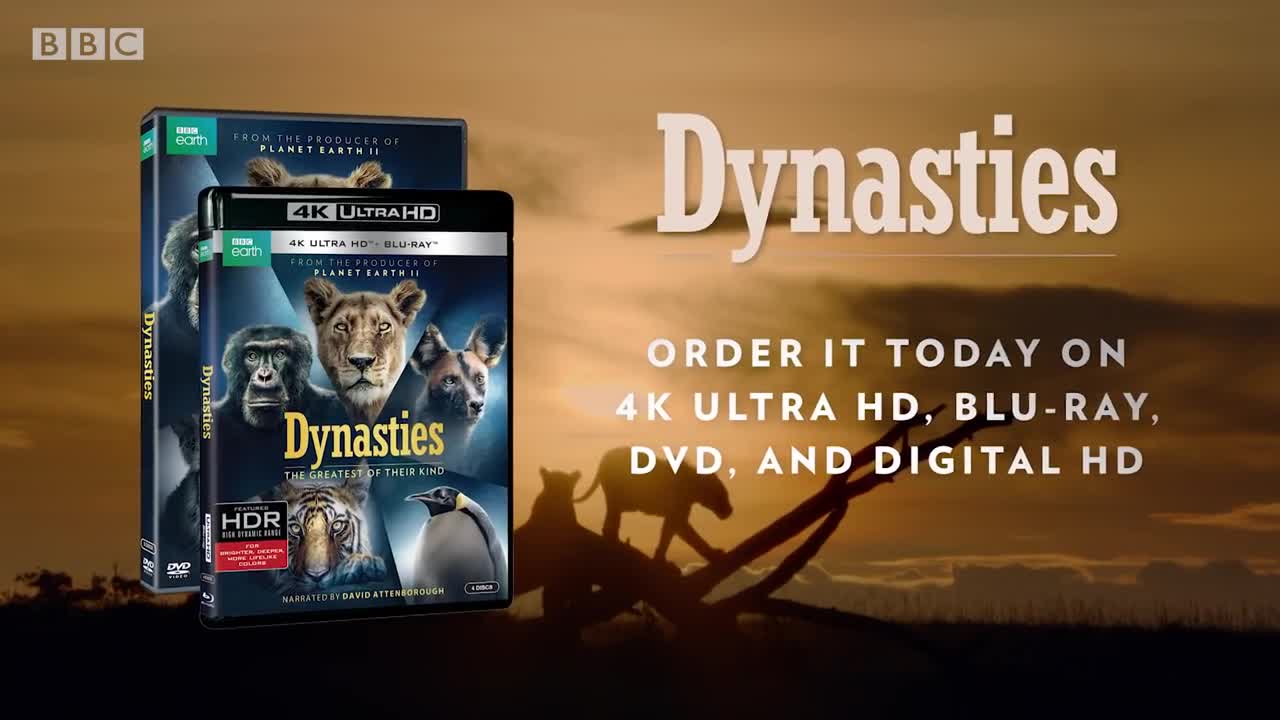 Dynasties: DVD and Blu-Ray Trailer | BBC Earth