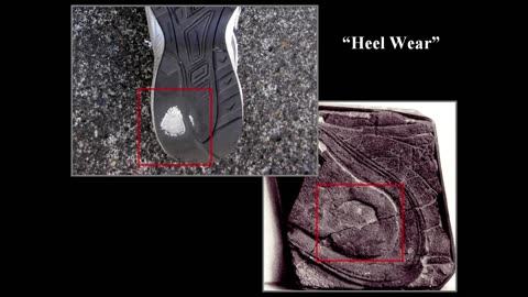 Fossilized Triassic Shoe Sole Print