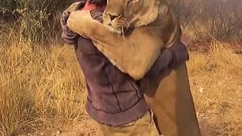 what is he doing with this lion😲