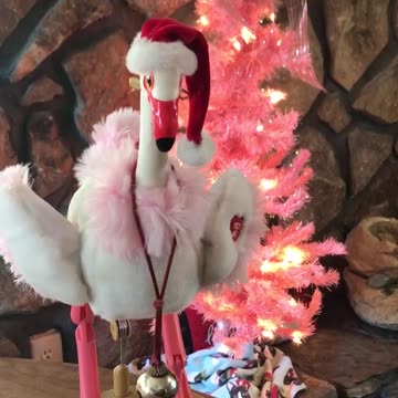 Buckle up; Drive safely! Merry Christmas to you and yours!