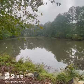 We Transform ❤️_🔥 #shorts