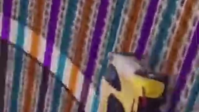 .Mans had a rough day 💀😐 credits in description ‼️