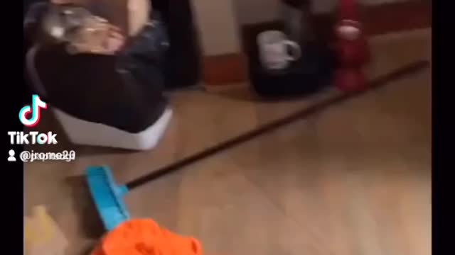 That Rat Is Too Healthy Not Grabbing That Rat