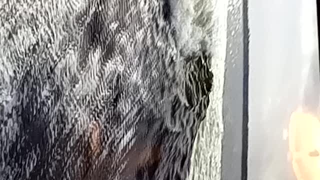Wait for it!! You will see it