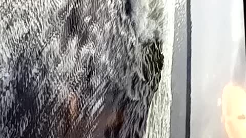Wait for it!! You will see it