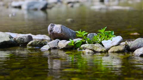 Water Flowing Through Rocks