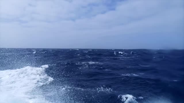 Are you afraid of the waves from the black sea?