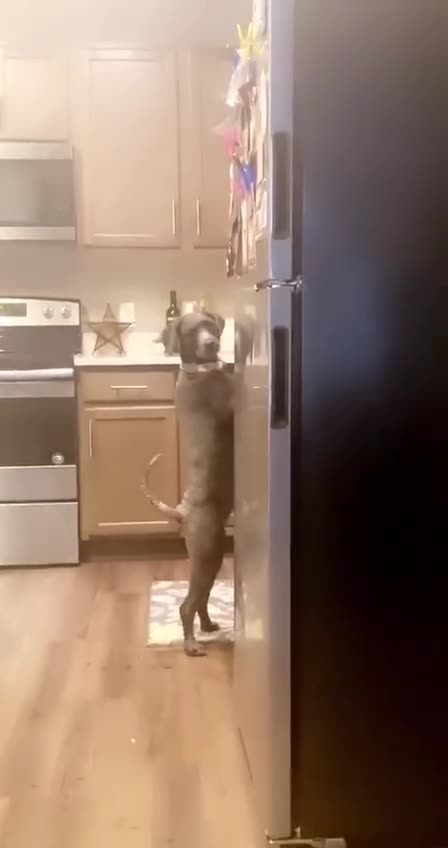 Sorry I have to go.. 😅