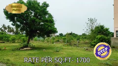 Plot for sale in Guduvanchery⛳️Near Velammal CBSE School | #chennaiplots #plotforsale #guduvanchery