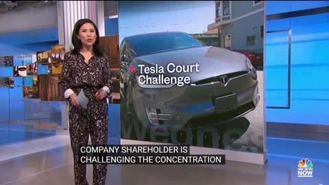 COMPANY SHAREHOLDER IS CHALLENGING THE CONCENTRATION