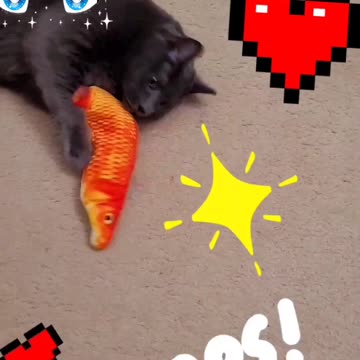 SMOKEY BABY PLAYTIME