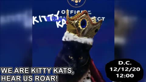 Another Incredibly Important Message from the Kitty Kat Elect