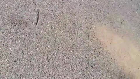 Man Films Himself Being Shot
