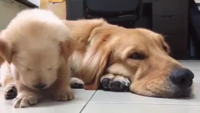 Sleeping time