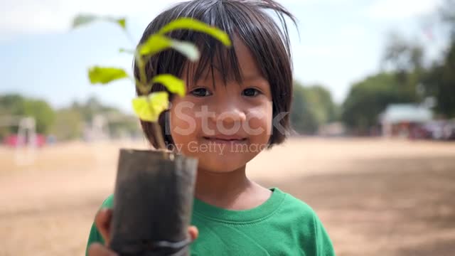 Little asian girl holding young plant in hands against spring green background. stock video...