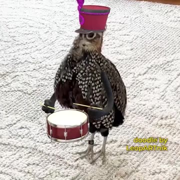 Majestic Creatures: Exploring Wildlife in Their Element