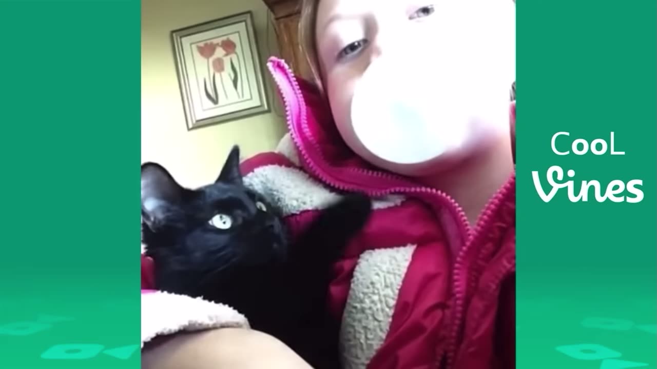 the cat broke the girl's bubble gum!