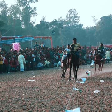 best horse rolling stones #horseracig 😍 #shortvideo #villagemarketbd #horsevideo #villagelife