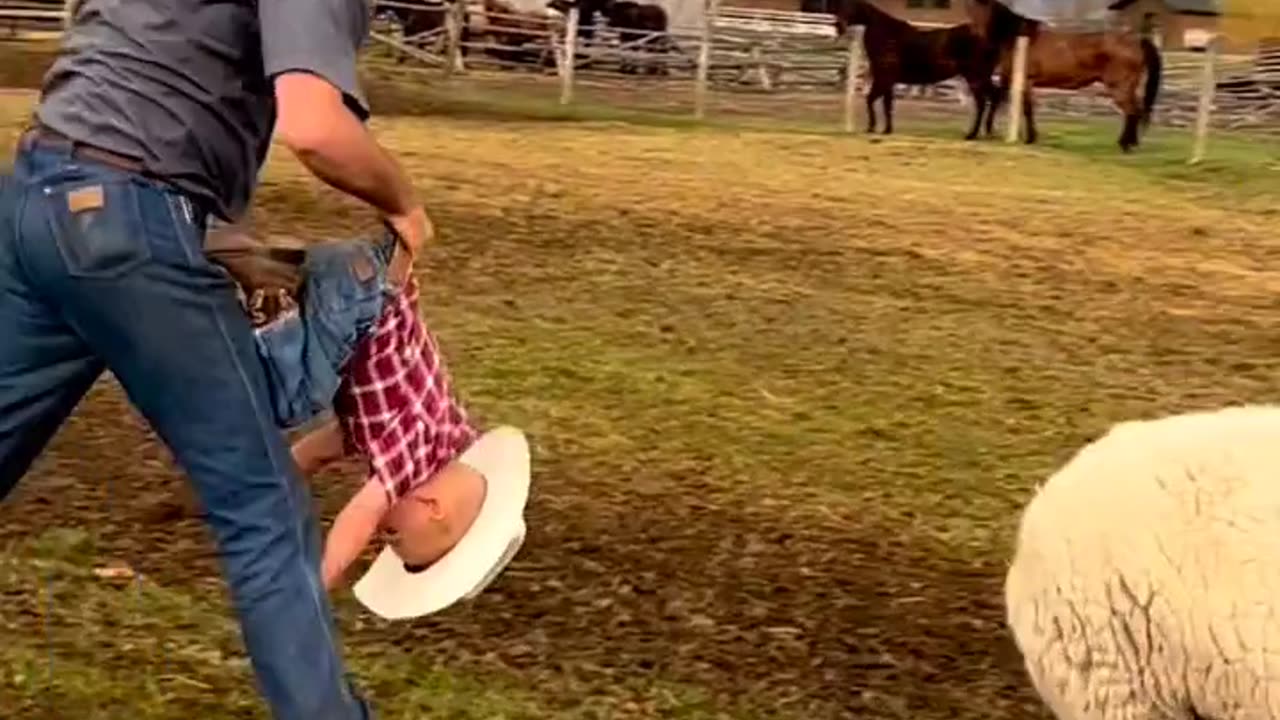Viral Stupidity